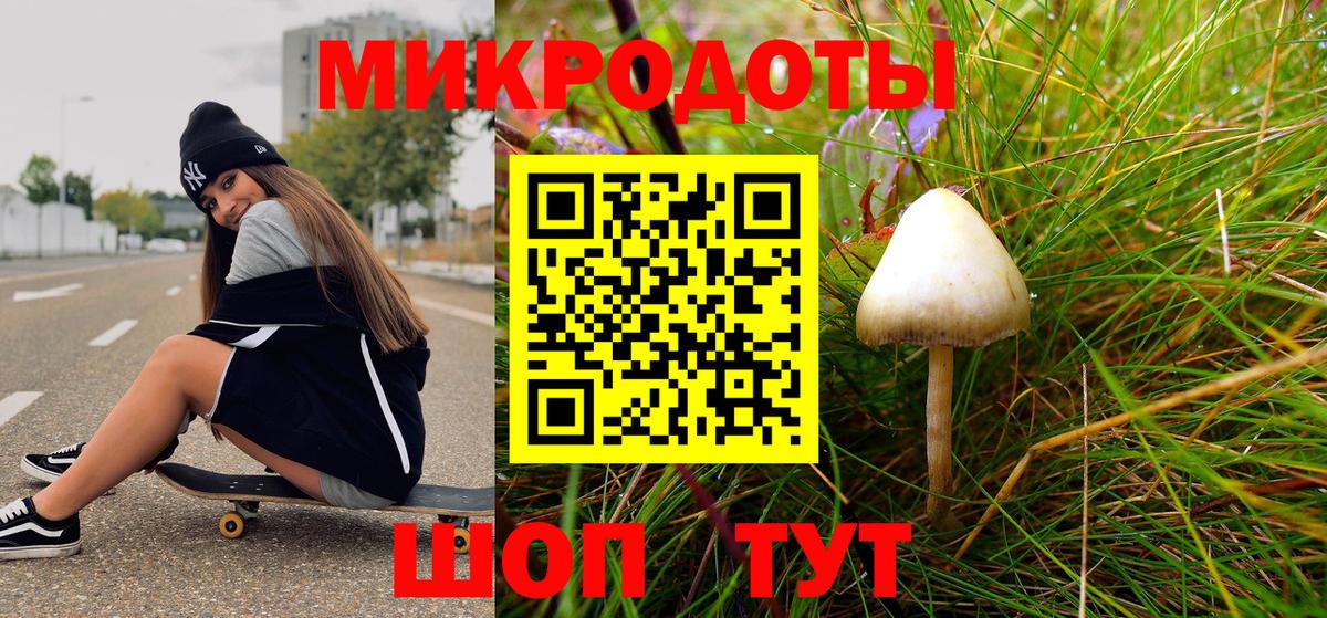 Моздок  Галлюциногенные грибы мухоморы  Вход с VPN 